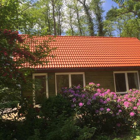 Ferienhof Ohlenbusch Worpswede Bagian luar foto