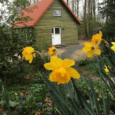 Ferienhof Ohlenbusch Worpswede Bagian luar foto