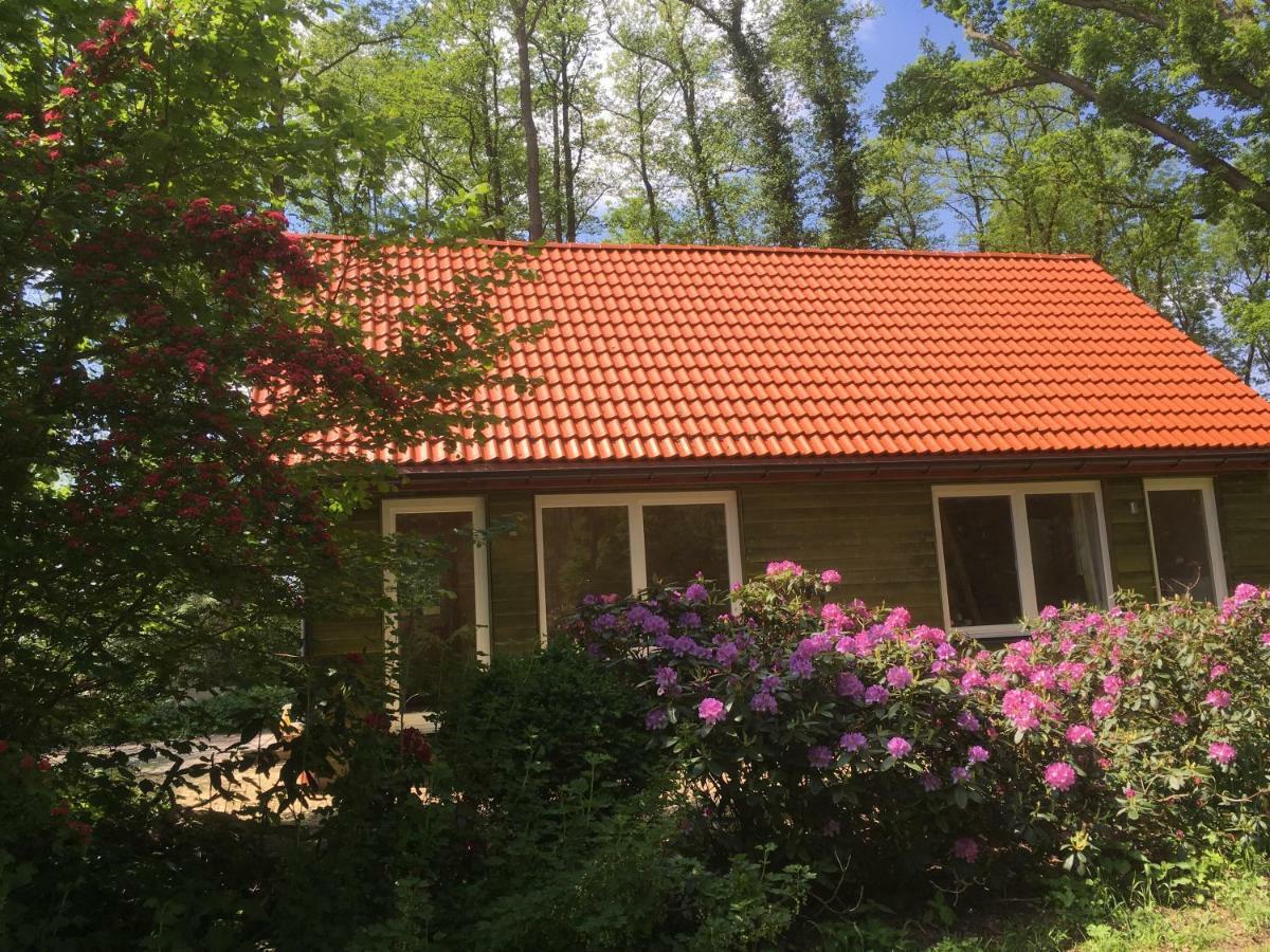 Ferienhof Ohlenbusch Worpswede Bagian luar foto