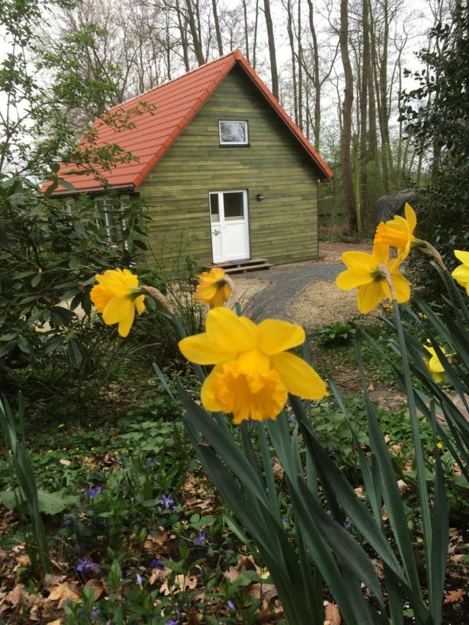 Ferienhof Ohlenbusch Worpswede Bagian luar foto